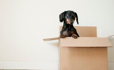 Help Your Movers Move You: 3 Steps to Reducing What You Have to Pack