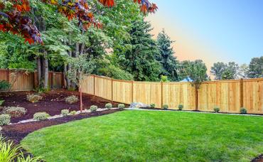 Budget Backyard Privacy Ideas