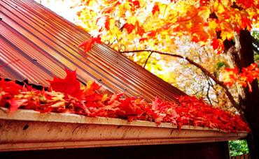 Fall Home Maintenance