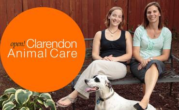 New Vet Clinic For Pet-Loving Clarendon Community