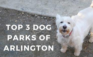 The Top 3 Dog Parks in Arlington