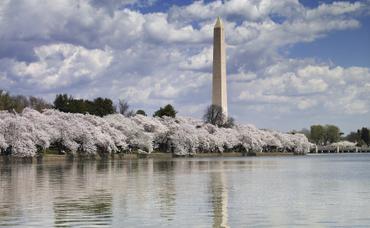 4 Keys to Living in Washington DC on a Budget