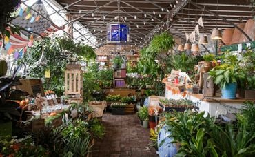 Plant And Garden Shops Close To Leesburg