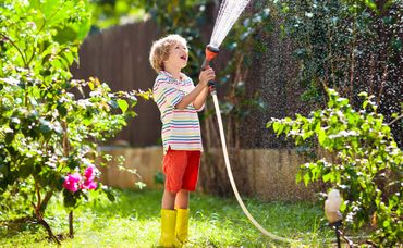 Save Water In Your Garden