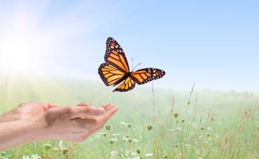 Butterfly Release at Magnolia Meadow Farms