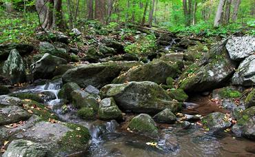 Take a Hike in Shenandoah National Park