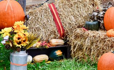 Explore the Best of Loudoun County at the 30th Annual Fall Farm Tour