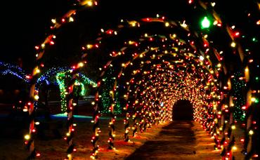 The Festival of Lights at Bull Run: A Magical Winter Wonderland