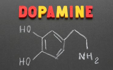 Feel Good in Dopamine Land: An Interactive Museum