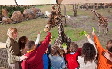 Leesburg Animal Park: A Family Adventure Awaits