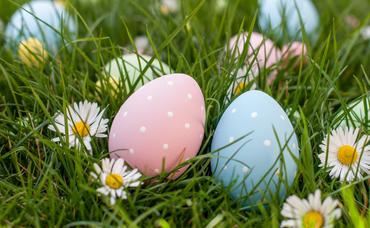 Discover the Joy of the First Annual Adult Easter Egg Hunt at Wheatland Spring