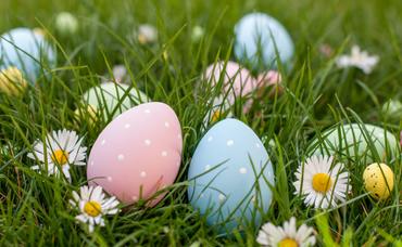 Easter Excitement at Great Country Farms: The Ultimate Family Adventure