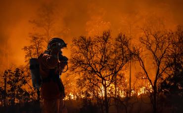 Protecting Your Home From Wildfires