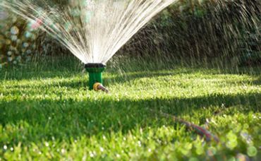 How to Water Your Lawn