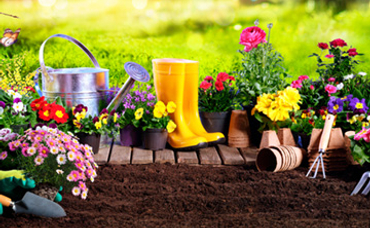 Planning Your Spring Garden