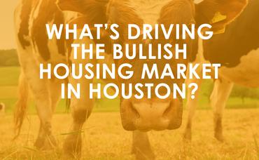 What’s Driving the Bullish Housing Market in Houston?