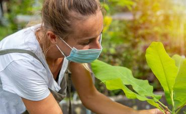 Starting a Coronavirus Victory Garden