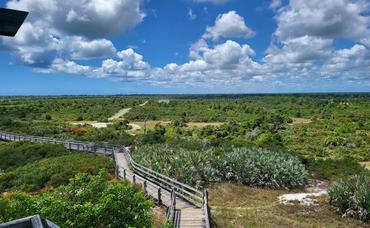 Jupiter Beach Information