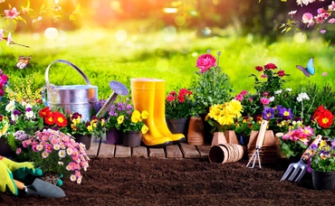 Planning Your Spring Garden