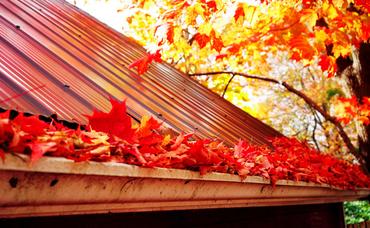 Fall Home Maintenance