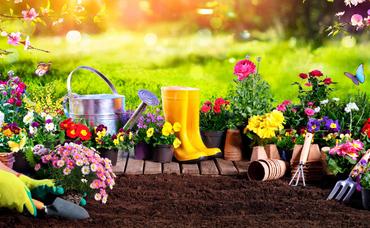 Planning Your Spring Garden