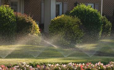 Buying And Installing A Sprinkler System