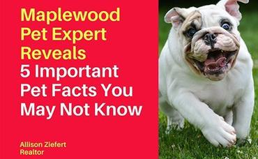 Maplewood Pet Expert Reveals 5 Important Pet Facts You May Not Know