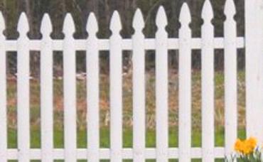 Your Home For Sale – Does It Need A White Picket Fence?