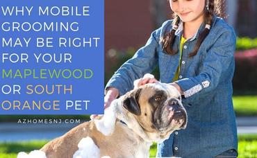 Why Mobile Grooming May Be Right for Your Maplewood or South Orange Pet