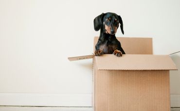 Help Your Movers Move You: 3 Steps to Reducing What You Have to Pack