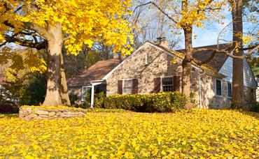 What to Know about Fall Leaves and Your Home