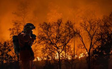 Protecting Your Home From Wildfires