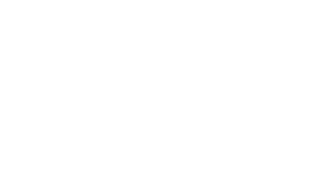 The Morsi Group Logo