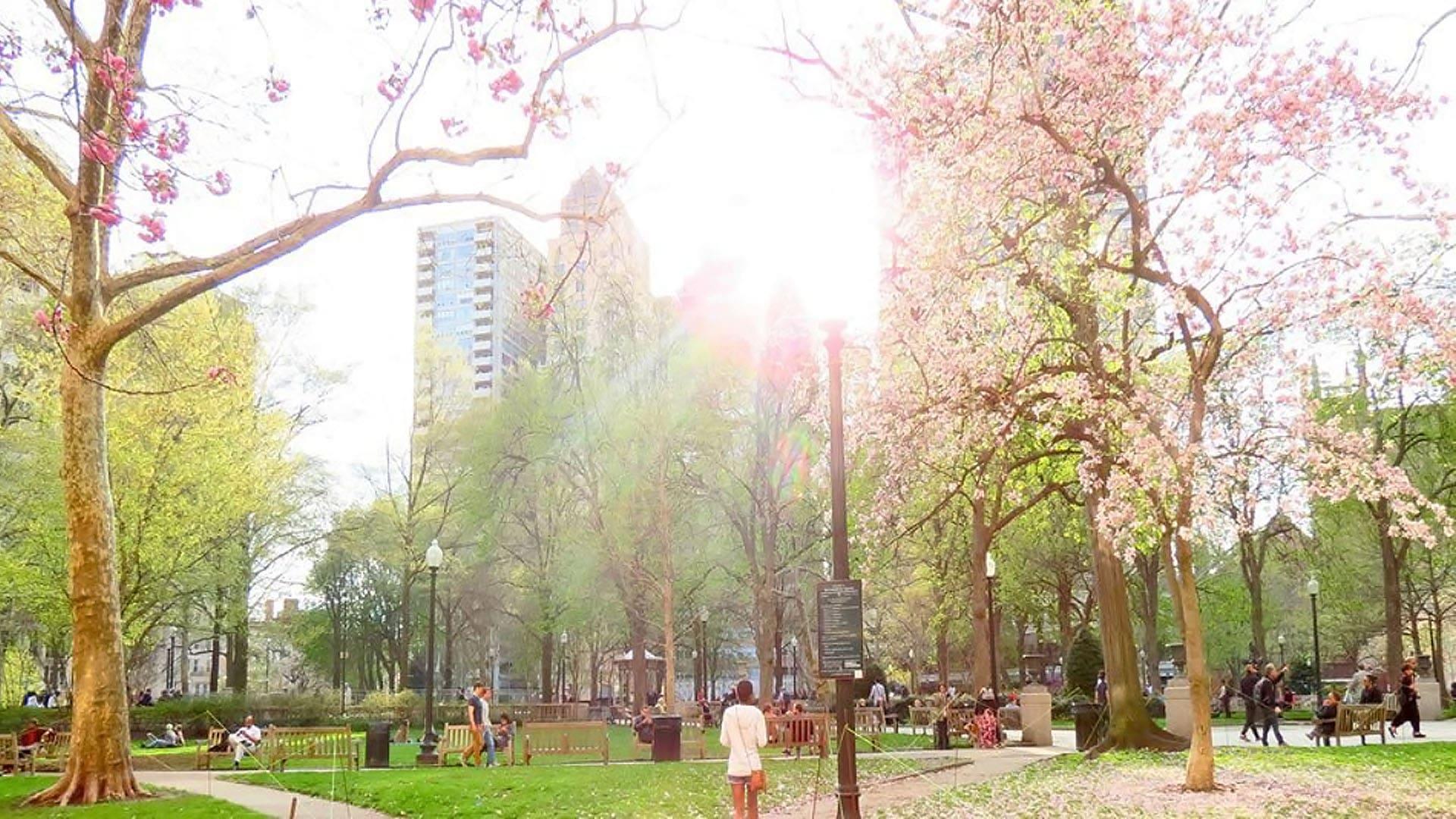 Rittenhouse Square