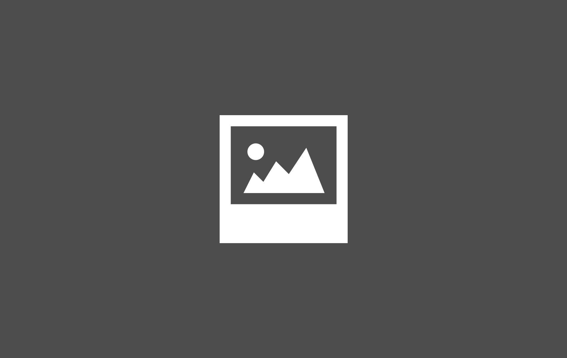 The Muro Group Logo