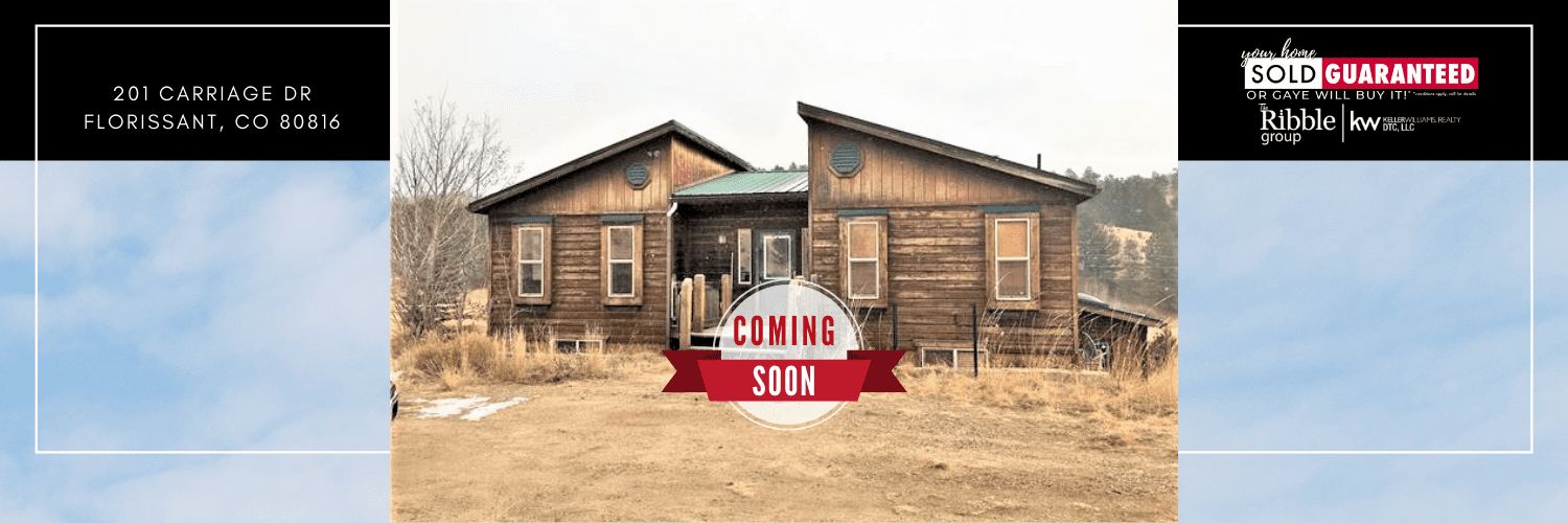 Florissant Mountain Contemporary Style Homes with Groove Ceiling under $500K