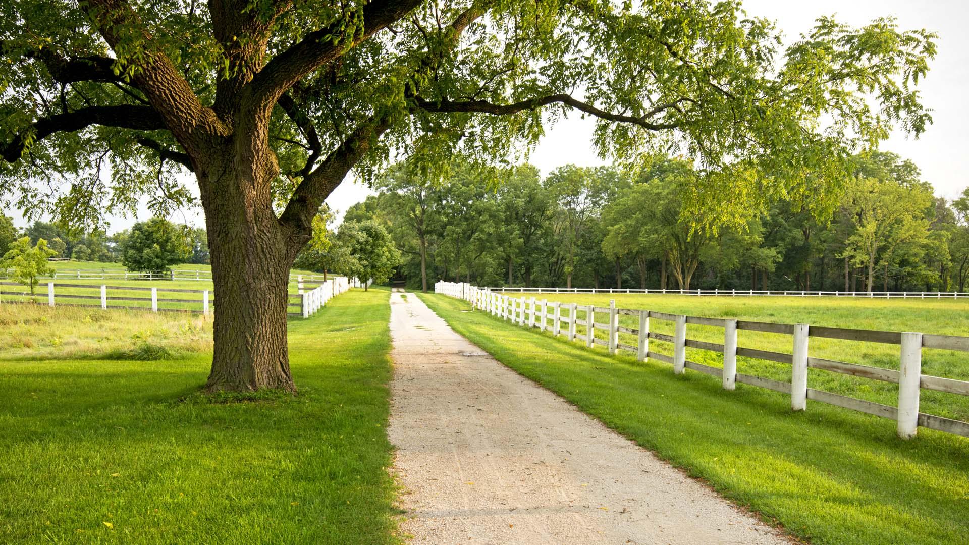 Nellie Gail Ranch