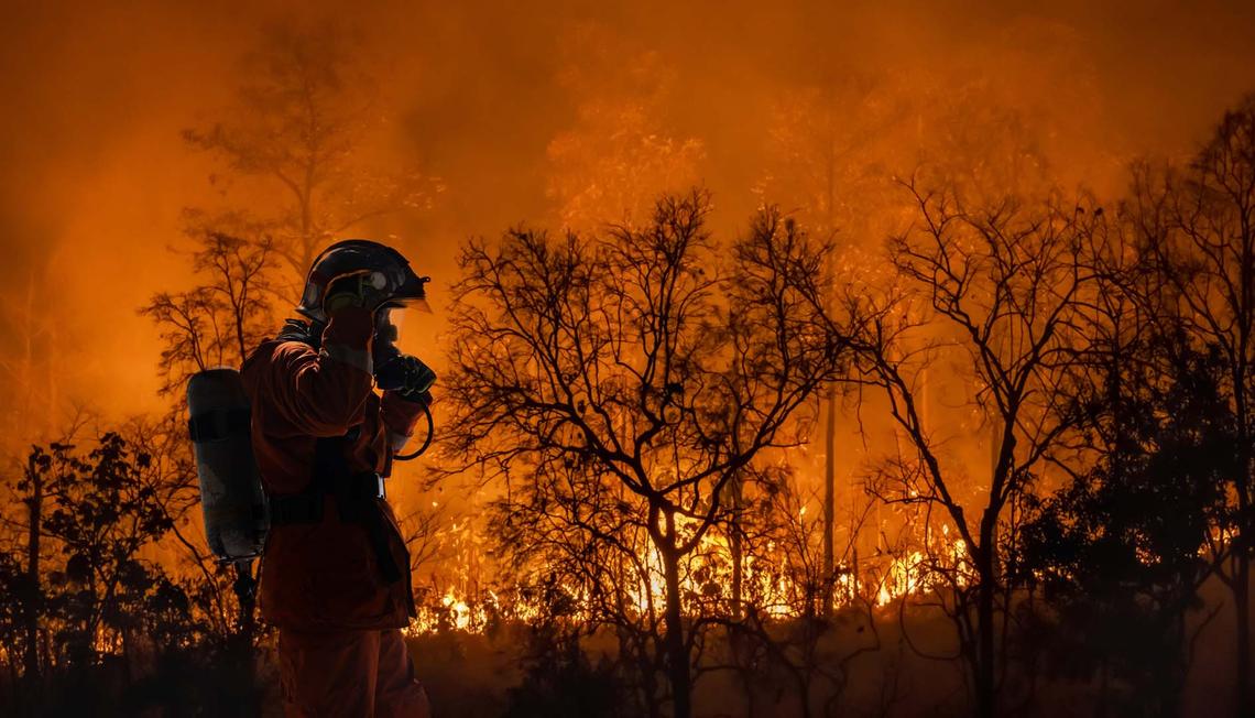 Protecting Your Home From Wildfires