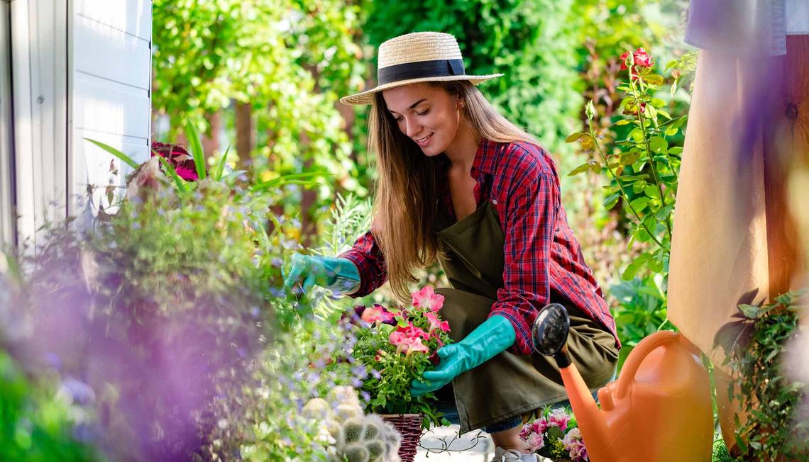 Preparing Your Garden for Fall