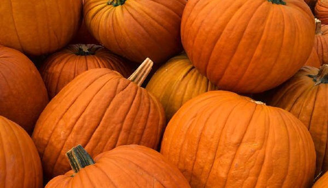 Halloween Happenings in Maplewood, South Orange, Millburn/Short Hills Area