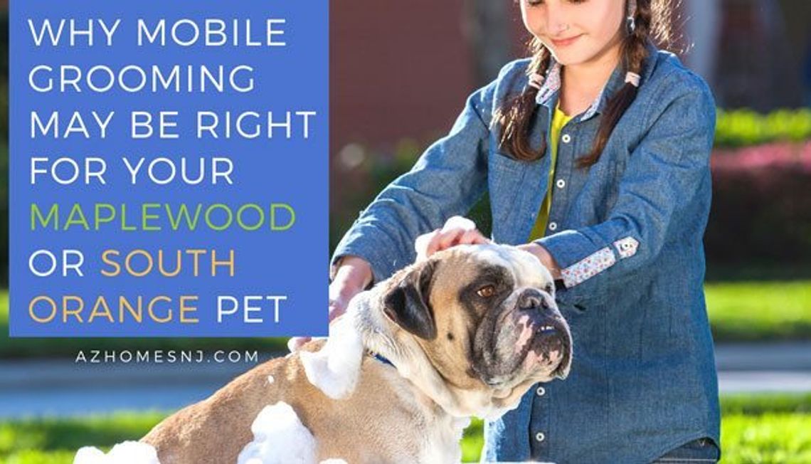 Why Mobile Grooming May Be Right for Your Maplewood or South Orange Pet