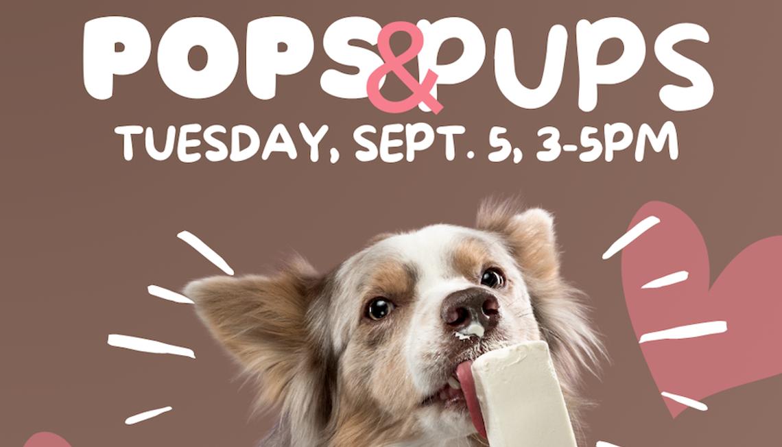 Pops and Pups Event at Flood’s Hill to Benefit Lost Paws Animal Rescue