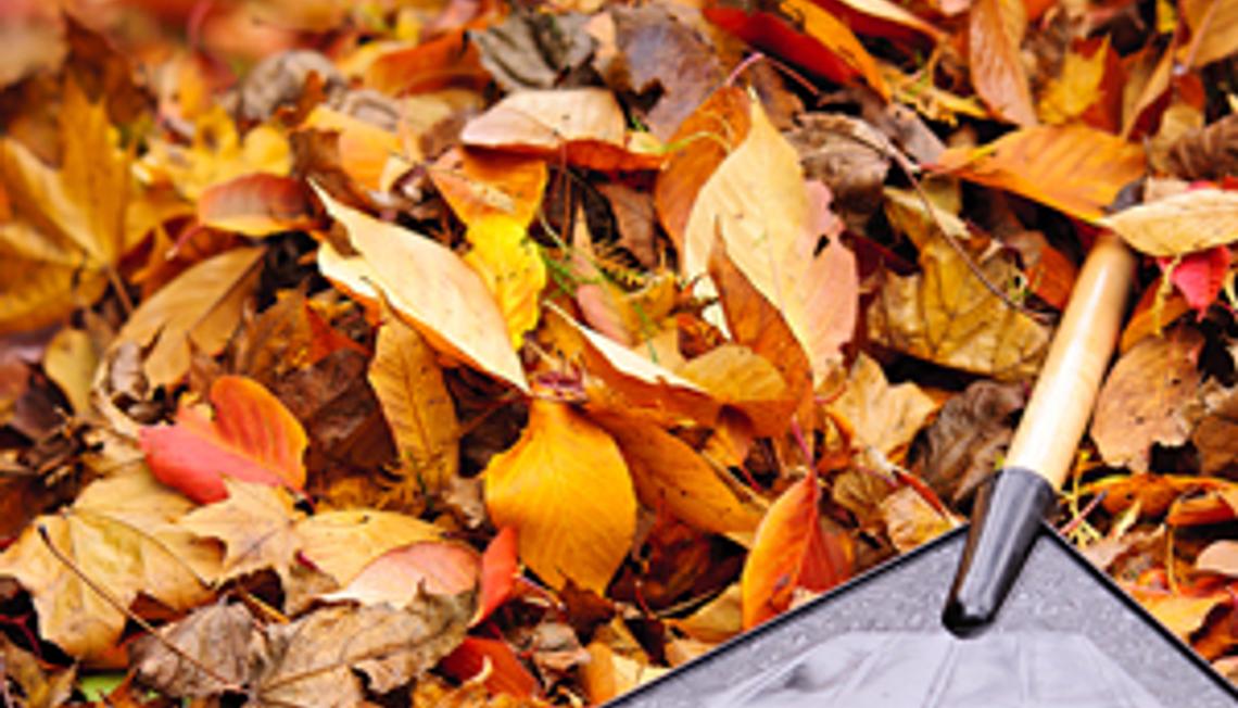 Maintaining Your Home in Changing Seasons