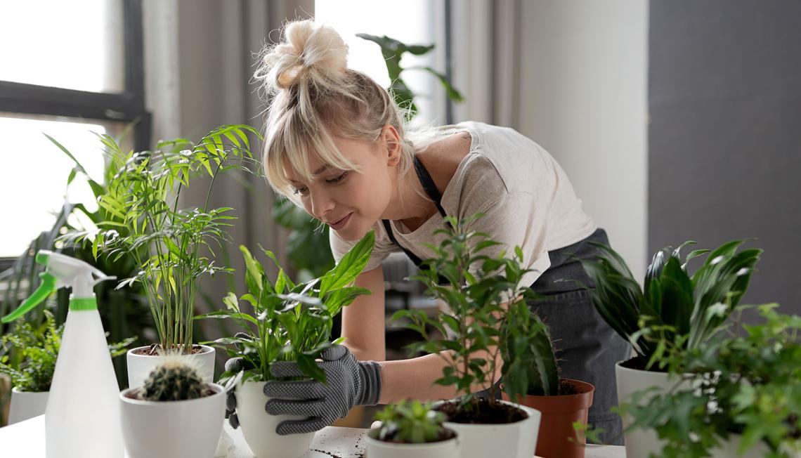 Start an Indoor Garden This Fall