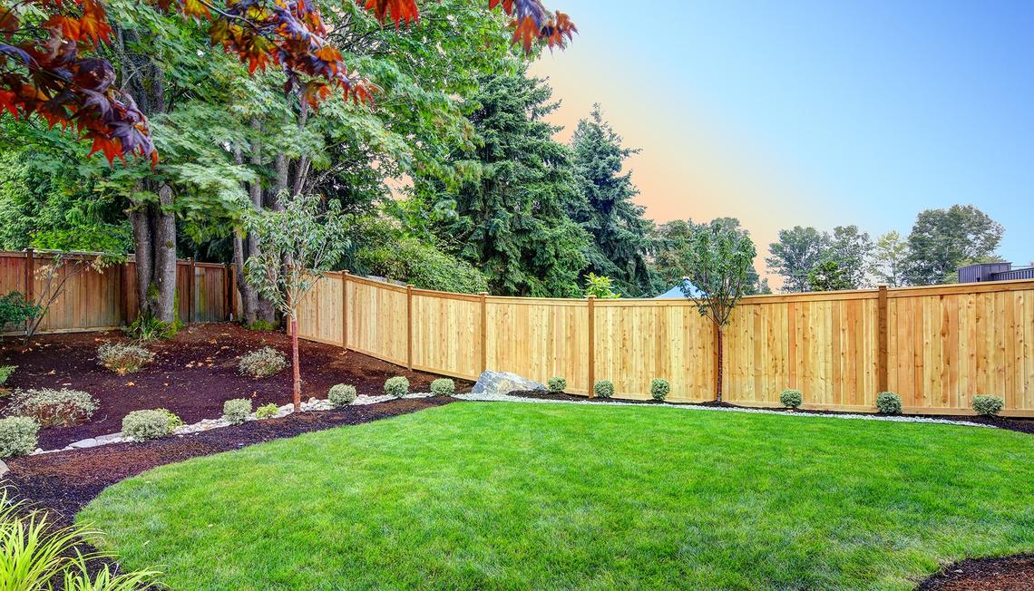 Budget Backyard Privacy Ideas