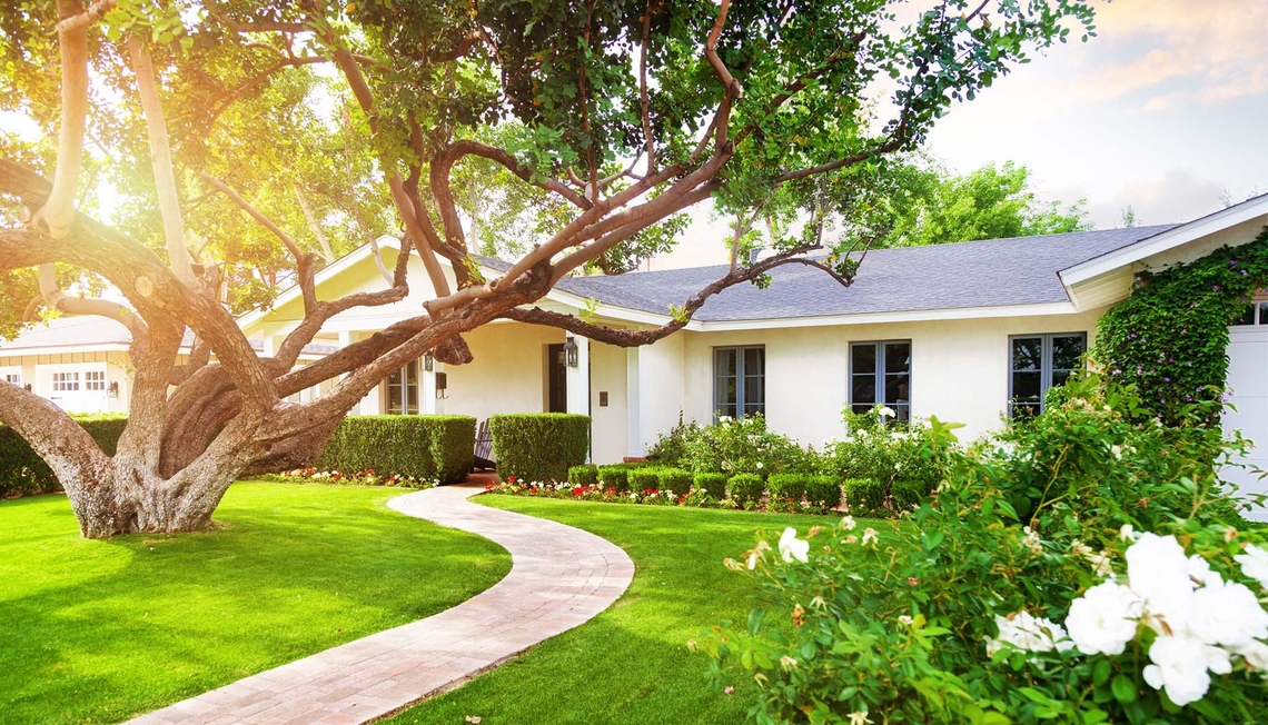 Buying a Home With Big Trees