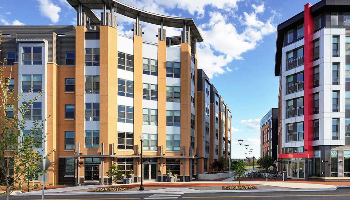 Neighborhood Spotlight: Potomac Yard