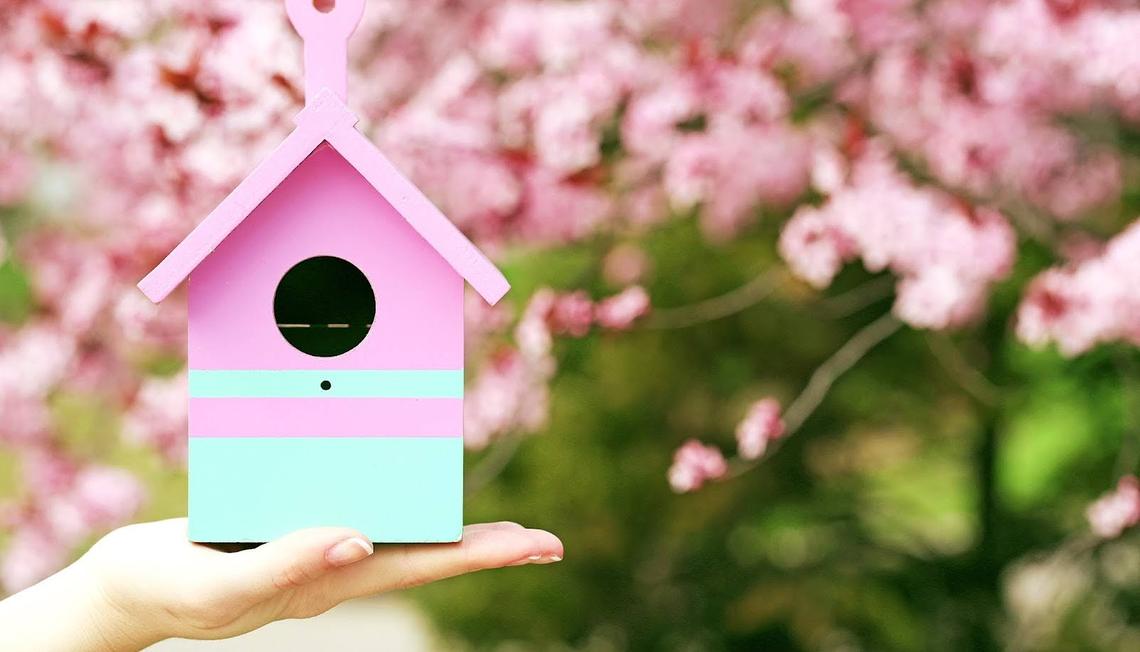 House Hunting Tips for First-Time Buyers: Navigating the Spring Real Estate Market in Virginia with Keri Shull Team