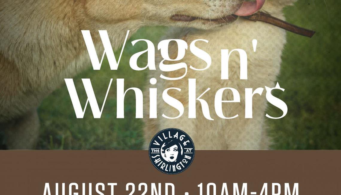 Wags N’ Whiskers Event Returns to The Village at Shirlington