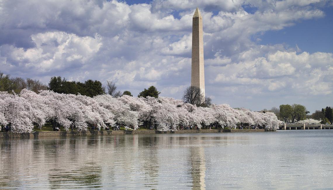 4 Keys to Living in Washington DC on a Budget